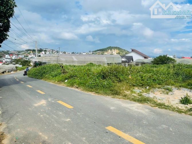 ✨🏡 ĐẤT 2 MẶT TIỀN ĐẸP – Ngang 17.07m –  Dài 15.9m ✨ - 4