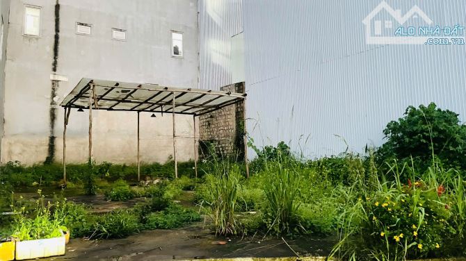 ✨🏡✨ CẦN BÁN ĐẤT ngang 6.55m, dài 15m HẺM XE HƠI ĐƯỜNG LỮ GIA – P.09, ĐÀ LẠT - 4