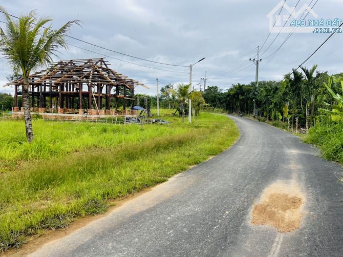 CẦN BÁN 3 HECTA  SỔ SẴN THỔ CƯ XÃ TRÚC SƠN HUYỆN  CƯ JÚT - 5