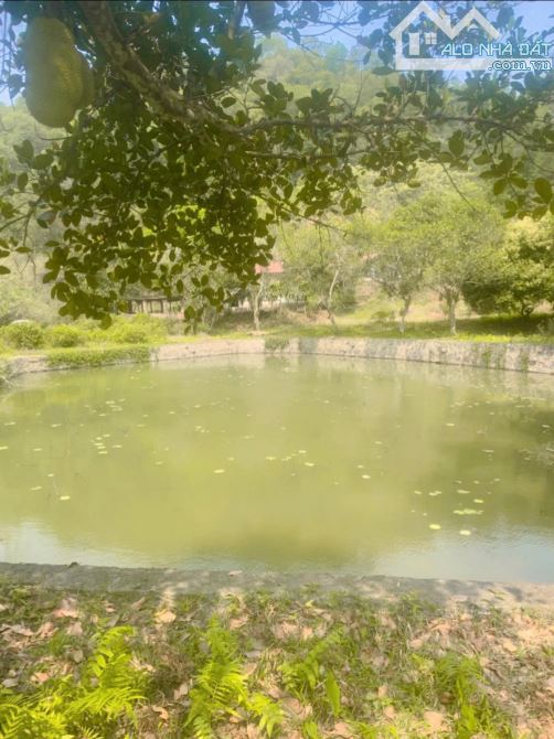 BÁN HƠN 4,5HA ĐẤT ĐẸP – VIEW TOÀN CẢNH HỒ ĐỒNG ĐÒ, SÓC SƠN, DÀNH CHO NHÀ ĐẦU TƯ CÓ TẦM - 5