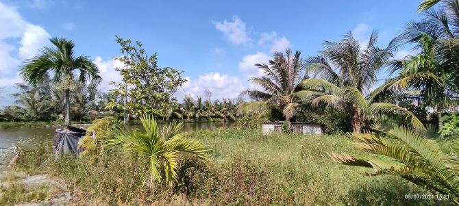 Bán hơn 5000m đất,trên đất có mô hình VAC ở kiến thụy,hải Phòng - 5