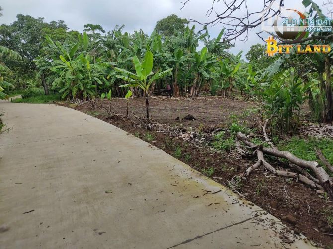 Bán đất Thống Nhất, gần Dầu Giây, đường bê tông giá rẻ (D056) - 5