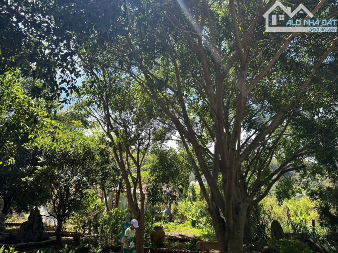 BÁN KHU NGHỈ DƯỠNG PHƯỜNG CAM LY ĐÀ LẠT - DIỆN TÍCH HƠN 9.000M2 TẶNG TOÀN BỘ HẠ TẦNG - 5