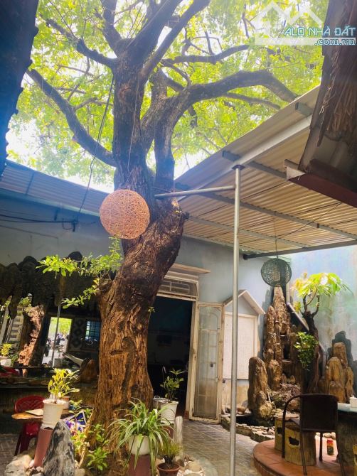 🌿🌿 SIÊU PHẨM LÔ ĐÔI NHÀ VƯỜN 195M² – MẶT TIỀN NGUYỄN KHUYẾN – GIÁ 11.8 TỶ 🌿🌿 - 5