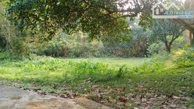 BÁN HƠN 4,5HA ĐẤT ĐẸP – VIEW TOÀN CẢNH HỒ ĐỒNG ĐÒ, SÓC SƠN, DÀNH CHO NHÀ ĐẦU TƯ CÓ TẦM - 6