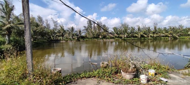 Bán hơn 5000m đất,trên đất có mô hình VAC ở kiến thụy,hải Phòng - 6