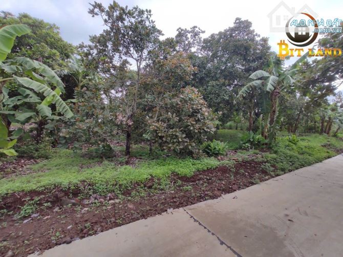 Bán đất Thống Nhất, gần Dầu Giây, đường bê tông giá rẻ (D056) - 6