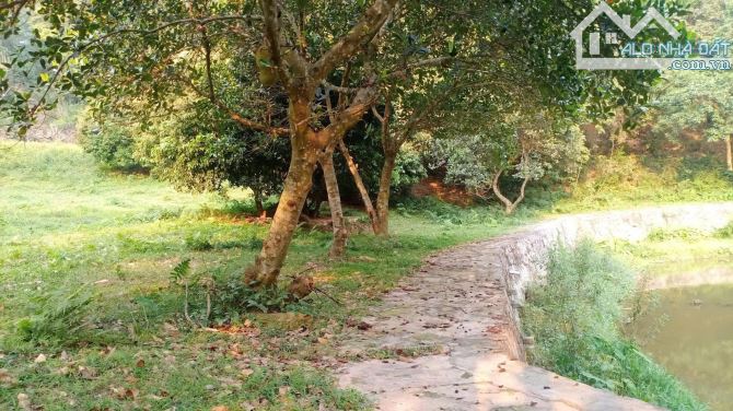 BÁN HƠN 4,5HA ĐẤT ĐẸP – VIEW TOÀN CẢNH HỒ ĐỒNG ĐÒ, SÓC SƠN, DÀNH CHO NHÀ ĐẦU TƯ CÓ TẦM - 7