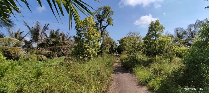 Bán hơn 5000m đất,trên đất có mô hình VAC ở kiến thụy,hải Phòng - 7