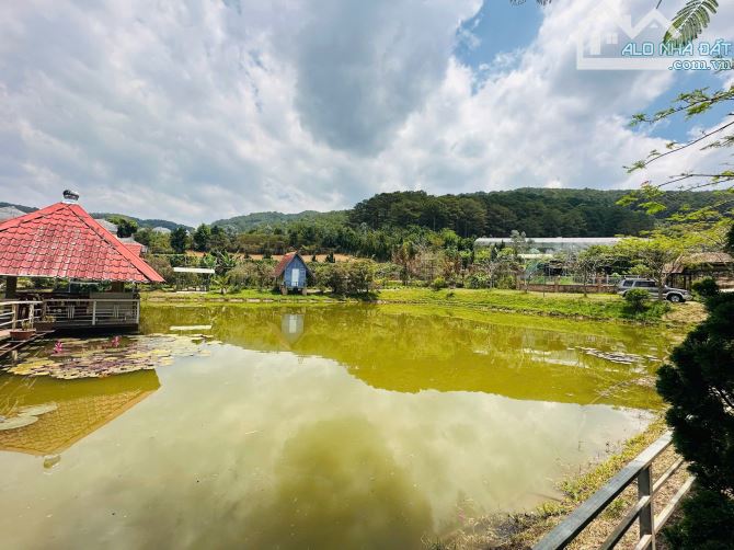 BÁN KHU NGHỈ DƯỠNG PHƯỜNG CAM LY ĐÀ LẠT - DIỆN TÍCH HƠN 9.000M2 TẶNG TOÀN BỘ HẠ TẦNG - 7