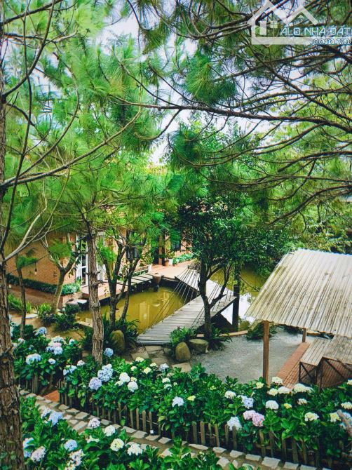 HOMESTAY SÂN VƯỜN RỘNG 2.000M2 - VIEW THUNG LŨNG VỚI 14 PHÒNG KINH DOANH - CÓ THỂ MỞ CAFE - 7