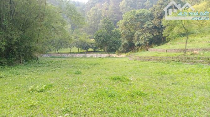 BÁN HƠN 4,5HA ĐẤT ĐẸP – VIEW TOÀN CẢNH HỒ ĐỒNG ĐÒ, SÓC SƠN, DÀNH CHO NHÀ ĐẦU TƯ CÓ TẦM - 8