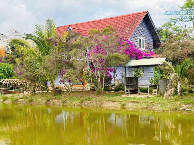 BÁN KHU NGHỈ DƯỠNG PHƯỜNG CAM LY ĐÀ LẠT - DIỆN TÍCH HƠN 9.000M2 TẶNG TOÀN BỘ HẠ TẦNG - 8