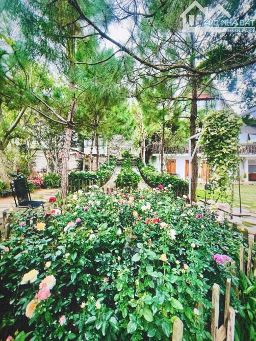 HOMESTAY SÂN VƯỜN RỘNG 2.000M2 - VIEW THUNG LŨNG VỚI 14 PHÒNG KINH DOANH - CÓ THỂ MỞ CAFE - 8