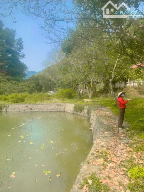 BÁN HƠN 4,5HA ĐẤT ĐẸP – VIEW TOÀN CẢNH HỒ ĐỒNG ĐÒ, SÓC SƠN, DÀNH CHO NHÀ ĐẦU TƯ CÓ TẦM - 9