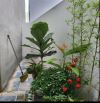 💥 NHÀ MỚI TINH – TẶNG FULL NỘI THẤT – THOÁNG SÁNG VĨNH VIỄN 💥  🏡 Diện tích 34m², xây 5