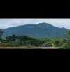 Bán đất Ba Vì, Hà Nội, gần đền Trung, 3514m, oto, thế đất cao, view toàn cảnh, 5.6tỷ