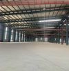 Cho Thuê Nhà Xưởng 5000m2 Tại Tứ Kỳ- Hải Dương bàn giao ngay