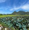 Bán đất mặt tiền Thôn Tây – Vĩnh Phương, đường ô tô 5m, Nha Trang