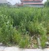 E có lô đất Phong Cầu, Đại Đồng, Kiến Thụy, Hải Phòng 76m.