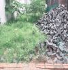 ⸻  🚨 ĐẤT ĐẸP GIÁ RẺ 100M² – Ô TÔ VÀO NHÀ – THÔN ĐOÀI, PHÚC THỊNH, HÀ NỘI – 5,8 TỶ 🔥  📍