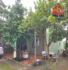 Bán đất tặng nhà Mái Thái Bình Minh, TB. 1ha shr, QH thổ cư. Ngay trường Trịnh Hoài Đức, c