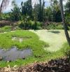 Hơn 1 Hecta đất vườn giáp suối tại mặt tiền đường Mã Vôi, xã Bảo Hòa, Xuân Lộc