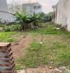🌸🌸🌸Đất Đẹp Tự Nhiên  - Thường Tín - Hà Nội  ⛔️Diện tích: 200M2 thích hợp làm kho xưởng