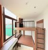 Bán CCMN ngõ 71 Hoàng Mai – 49m², 7 tầng, MT 5.4m, giá 14.3 tỷ