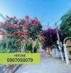 BÁN 777M2 ĐẤT VIEW BIỂN BÃI DÂU TRẦN PHÚ P5 VŨNG TÀU - CHỈ 45 TRIỆU/M2 SỔ HỒNG LÂU DÀI