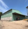 Cho thuê kho 830m² trong cụm kho đường Quốc Lộ 1A, P. Q. Cái Răng, TP. Cần Thơ, lộ Contain