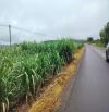 Bán đất rẩy - mía có sẵn , nằm trên đường QL29c