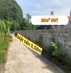 BÁN GẤP LÔ ĐẤT 80m² FULL THỔ CƯ – LƯƠNG SƠN, HÒA BÌNH