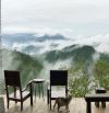 1.183M2 FULL XÂY DỰNG MẶT TIỀN LÊ VĂN TÁM - NGANG 50MET - CÓ GPXD 8 TẦNG VIEW RỪNG THÔNG