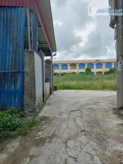 Chính chủ gửi bán lô góc ở xã Tân Dương cũ nay thuộc phường Thủy Nguyên  Diện tích 60m2 ng
