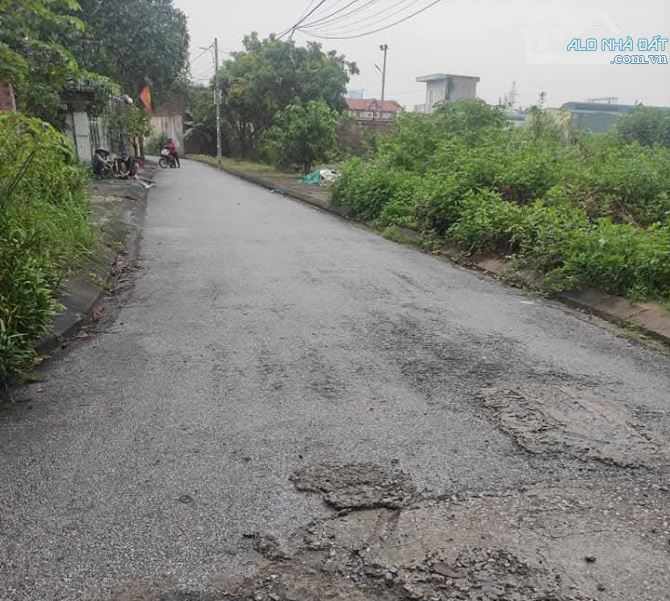 🔥 BÁN ĐẤT ĐỐNG HƯƠNG – QUÁN TOAN – HỒNG BÀNG – GIÁ CHỈ 2,12 TỶ 🔥