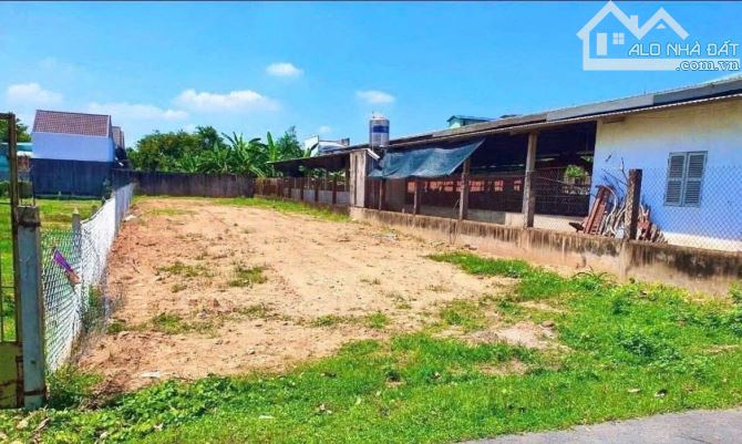 🔥 BÁN LỖ 200 TRIỆU – ĐẤT ĐẸP GIÁ RẺ, GẦN CHỢ – XÃ TÂN THÔNG HỘI, CỦ CHI 🔥GIÁ 480 TRIỆU