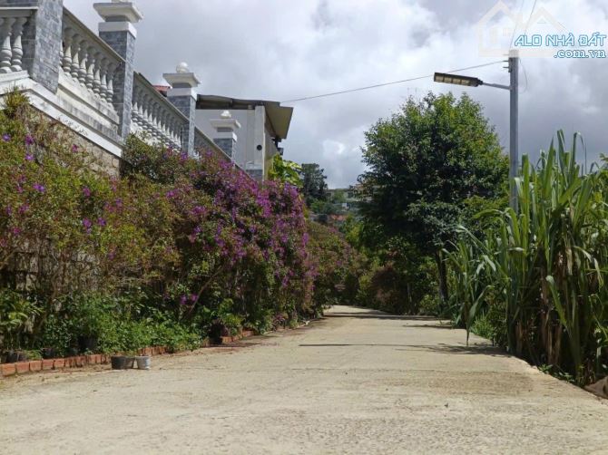 Bán đất hẻm 11 Khe Sanh, Phường 10, TP. Đà Lạt – Khu vực biệt thự, view thung lũng thoáng