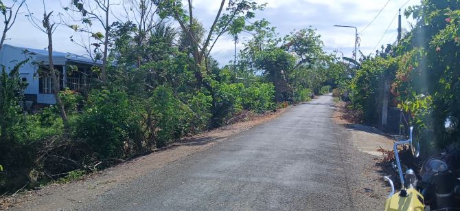 Lô đất trồng bưởi  Diện tích 1.700m2. Lộ Xoài giáp ranh Mỹ Tho. Cách QL50 chỉ 1,5 km.