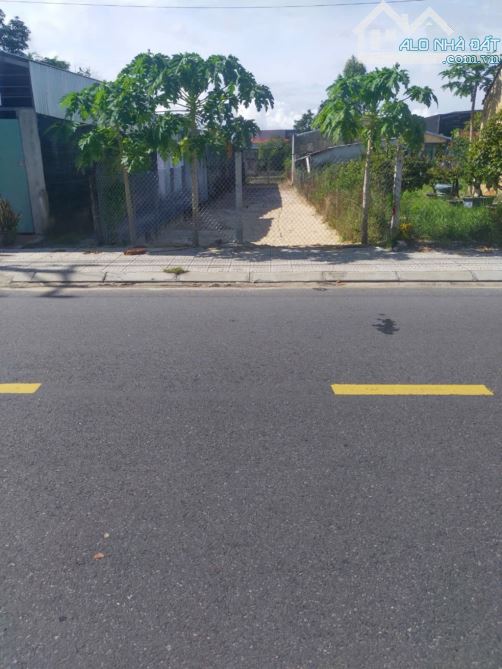 🌟 BÁN ĐẤT QUẢNG LĂNG 1 – DIỆN TÍCH 310m² – GIÁ 3,8 TỶ