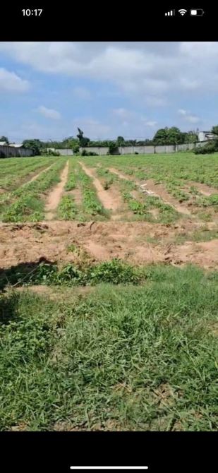 Bán đất mặt tiền đường Nguyễn Thị Nê xã Nhuận Đức Củ Chi TPHCM, DT: 6813m2.