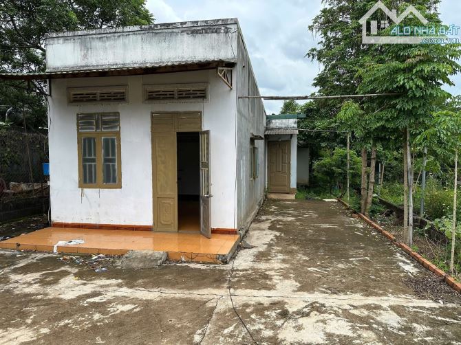 💥CHỈ 1TỶ200 – SỞ HỮU NGAY ĐẤT 10x28M TẶNG NHÀ CẤP 4 – GẦN TRƯỜNG & QUỐC LỘ