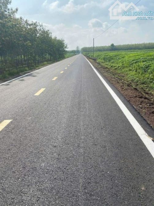 Bán đất 2 mặt tiền đường Tỉnh 792 xã Tân Hà Tân Châu Tây Ninh, DT: 18 mẫu.