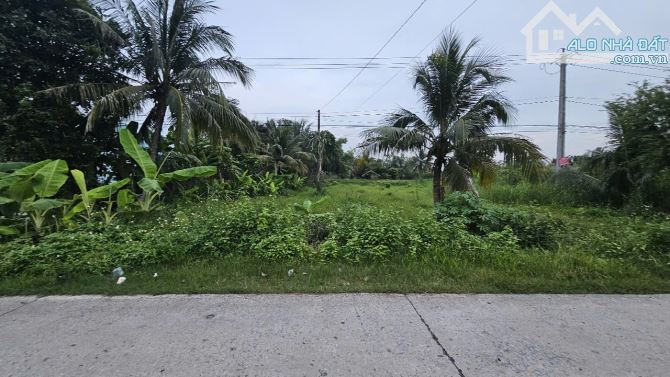 Đất 1.935m2 mặt tiền đường kênh Đòn Dông, xã Thạnh Lộc, huyện Châu Thành
