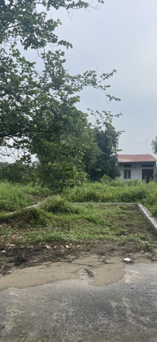 🏡 Cơ hội đầu tư đất vàng Hoà Lạc – vị trí đắc địa, sinh lời cao