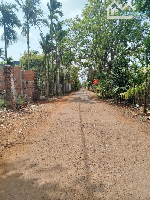 ĐẤT ĐƯỜNG D2 BUÔN JU NGAY CHỢ ĐẠT LÝ ĐI VÀO: GIÁ 1.35 tỷ