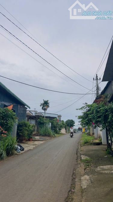 BÁN ĐẤT ĐƯỜNG LƯƠNG ANH QUANG – PHƯỜNG TÂN LẬP – ĐẮK LẮK 🎯