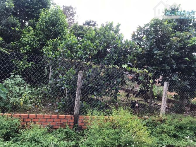 Đất Ea Kao buôn Tăng Ju gần trường tiểu học La Văn Cầu