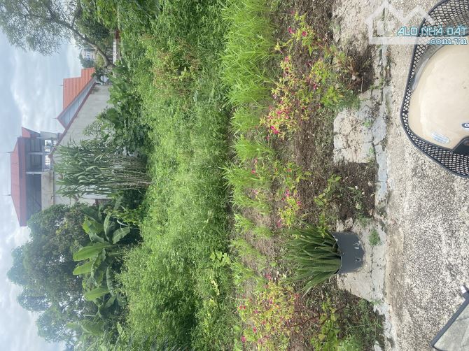 CHƯƠNG SÁ – LƯƠNG TÀI | 519M² – ĐƯỜNG Ô TÔ VÀO TẬN ĐẤT  Lô đất rộng rãi, vuông vắn, vị trí