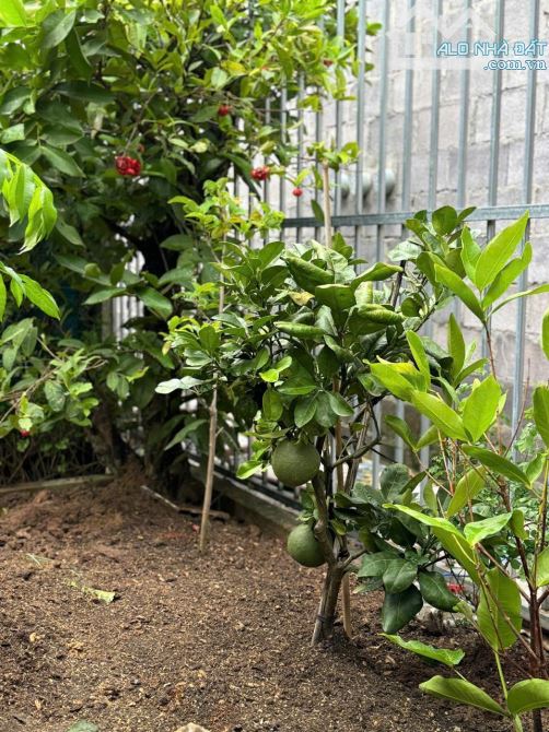Biệt thự gỗ tâm huyết có hồ cá Koi thị trấn Diên Khánh . Nha Trang   - Diện tích đất: 279m - 10
